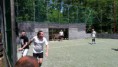/album/turnaj-stamgastov-2016-2-miesto/futbal-zelezna14-jpg/